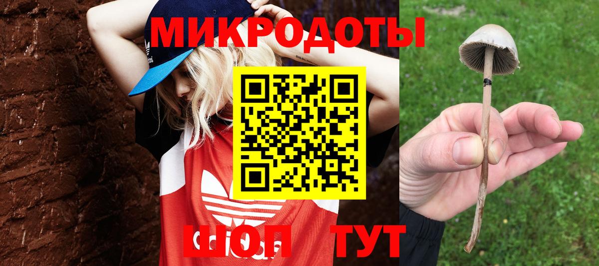 Галлюциногенные грибы Cubensis  Вход с VPN  Шахты 