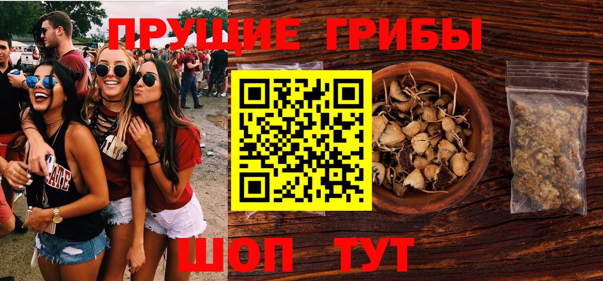 Псилоцибиновые грибы Psilocybe Шахты